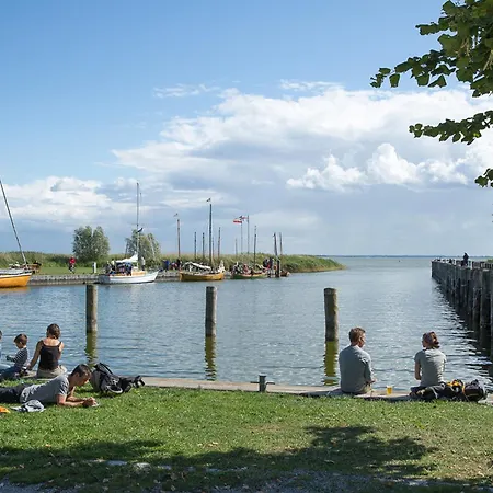 Schilfrohrsaenger 45 *