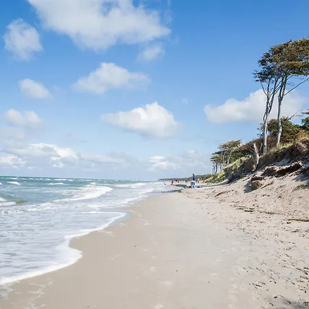 Feriehus Schilfrohrsaenger 45