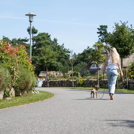 Schilfrohrsaenger 45 Feriehus *