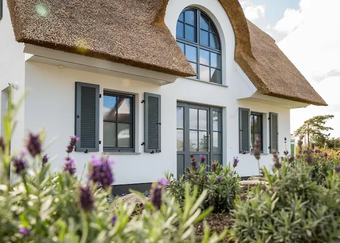 Schilfrohrsaenger 45 Tatil Evi *