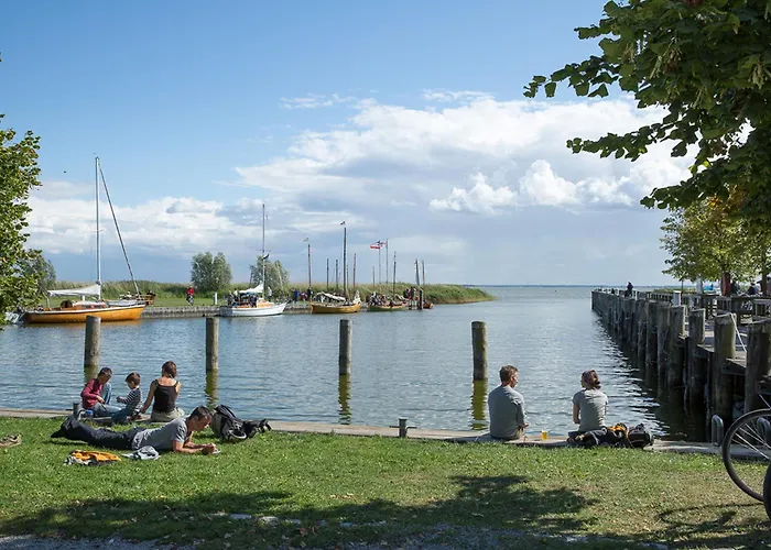 Schilfrohrsaenger 45 *