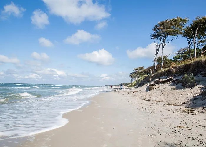 Tatil Evi Schilfrohrsaenger 45