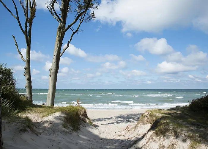 Schilfrohrsaenger 45 Tatil Evi *