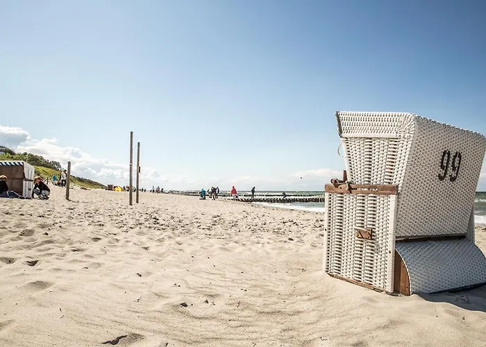 Schilfrohrsaenger 45 *