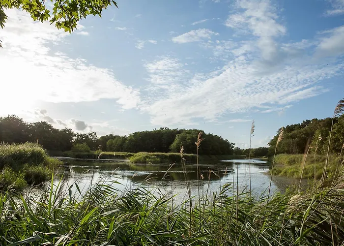 Schilfrohrsaenger 45