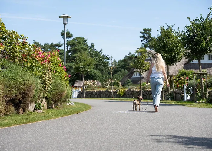 Schilfrohrsaenger 45 Tatil Evi *